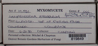 Image Associated With the Occurence